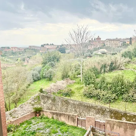 Provenzano Floor * Siena